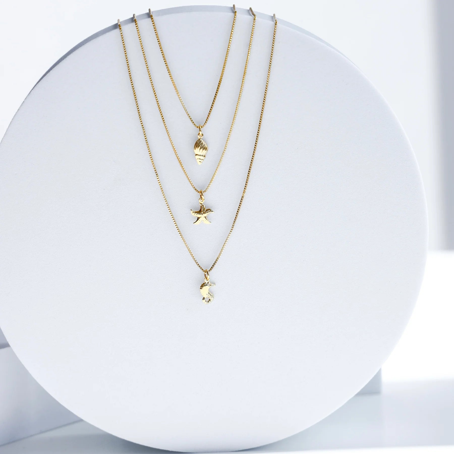 M16 UNDER THE SEA  NK219480