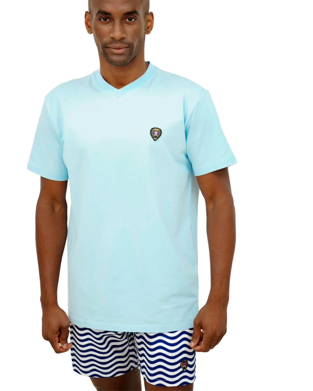 M.CHUCK VNECK S/S B.BL220104