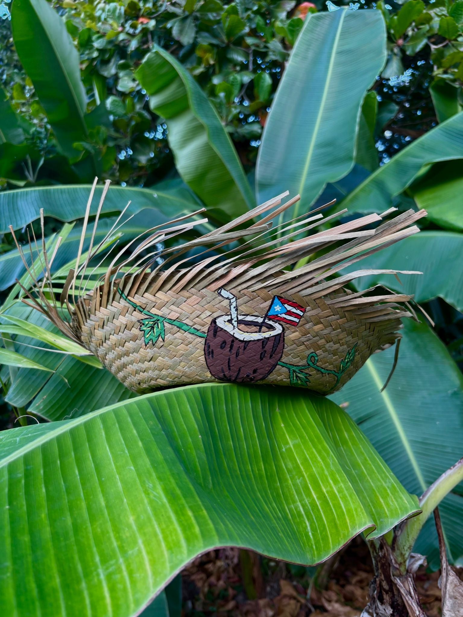 PAVA ARTESANAL COCO229086